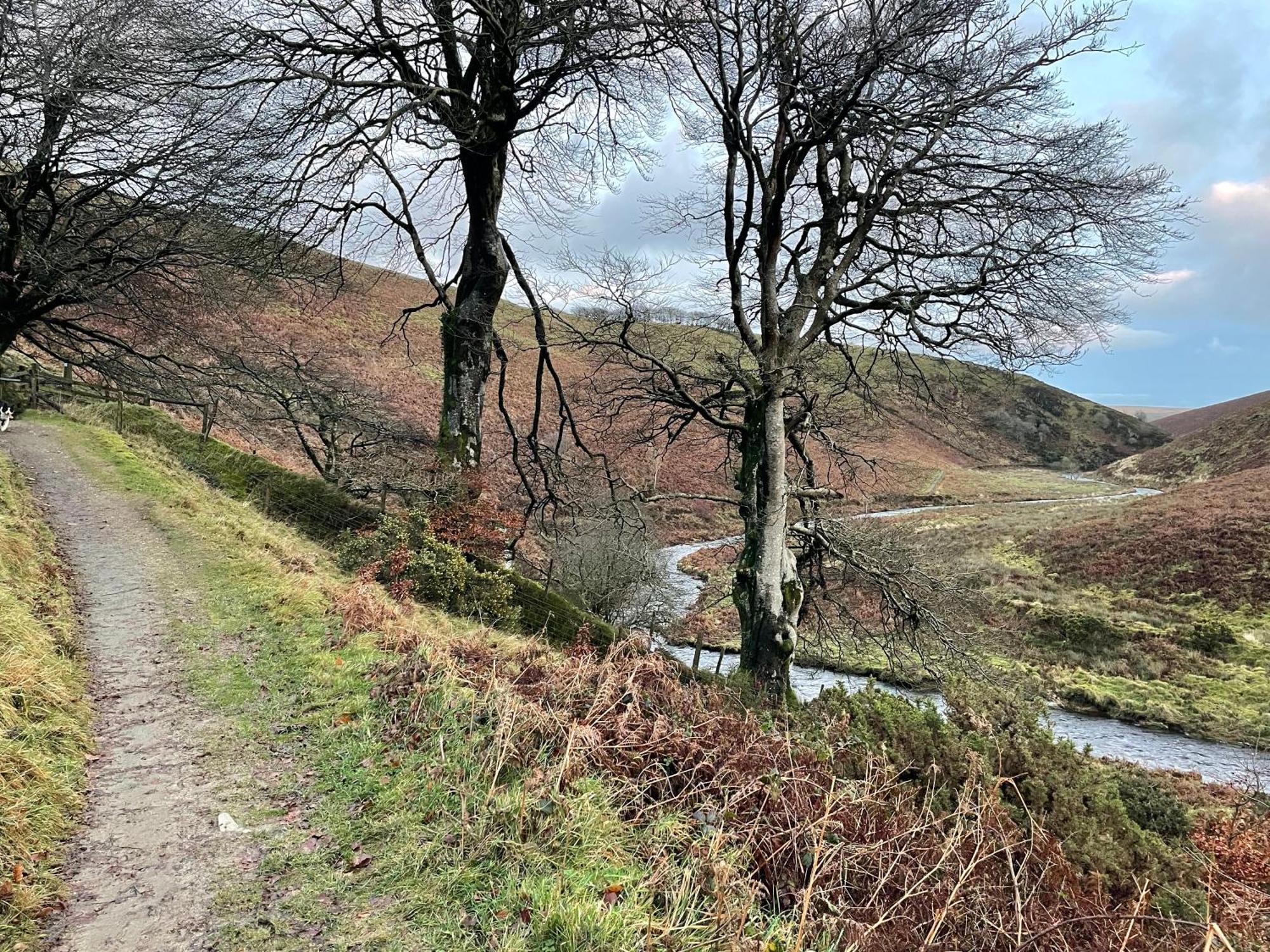 Winstitchen Cottage Situated Near The River Barle Simonsbath Exterior foto