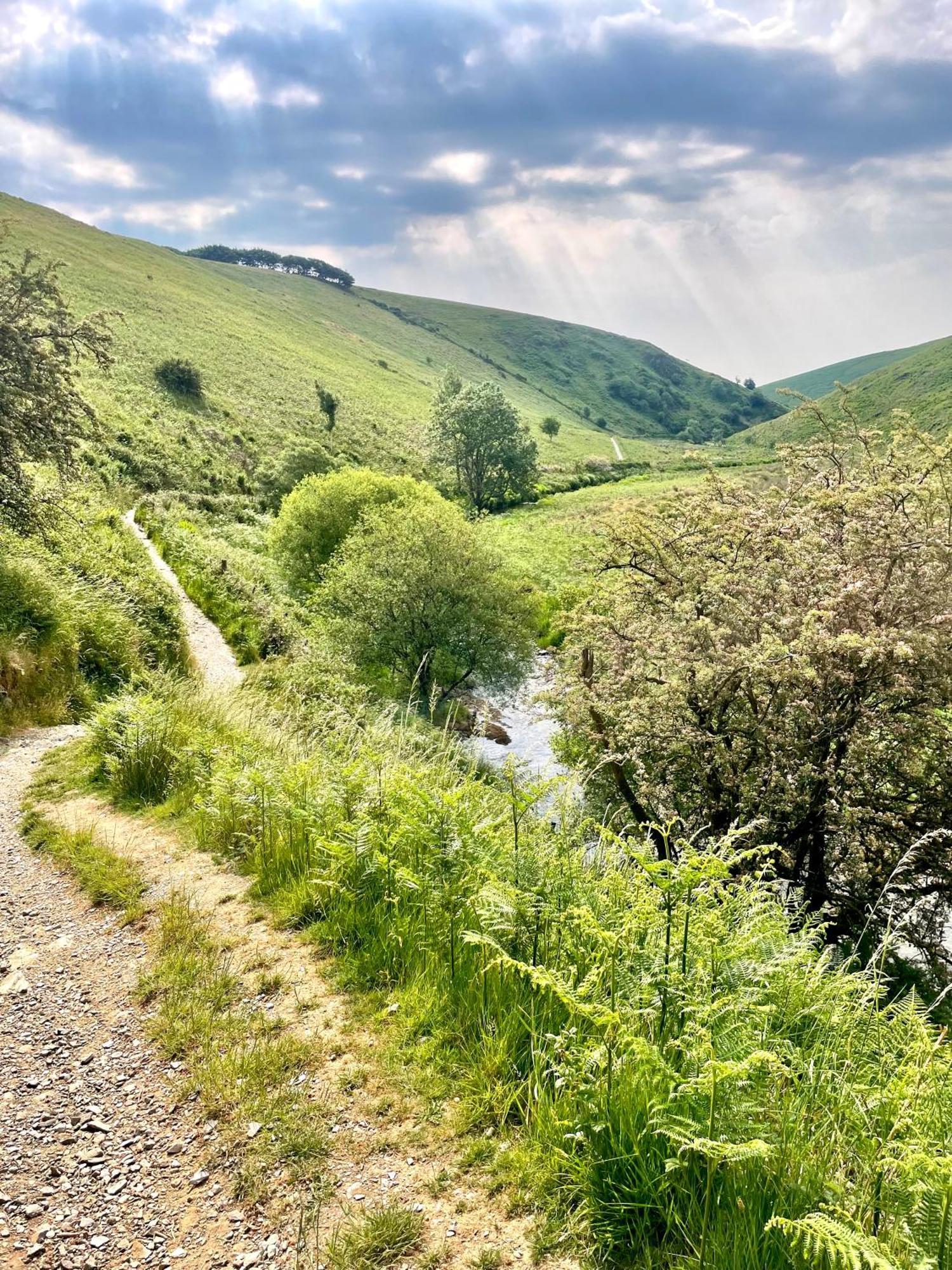 Winstitchen Cottage Situated Near The River Barle Simonsbath Exterior foto