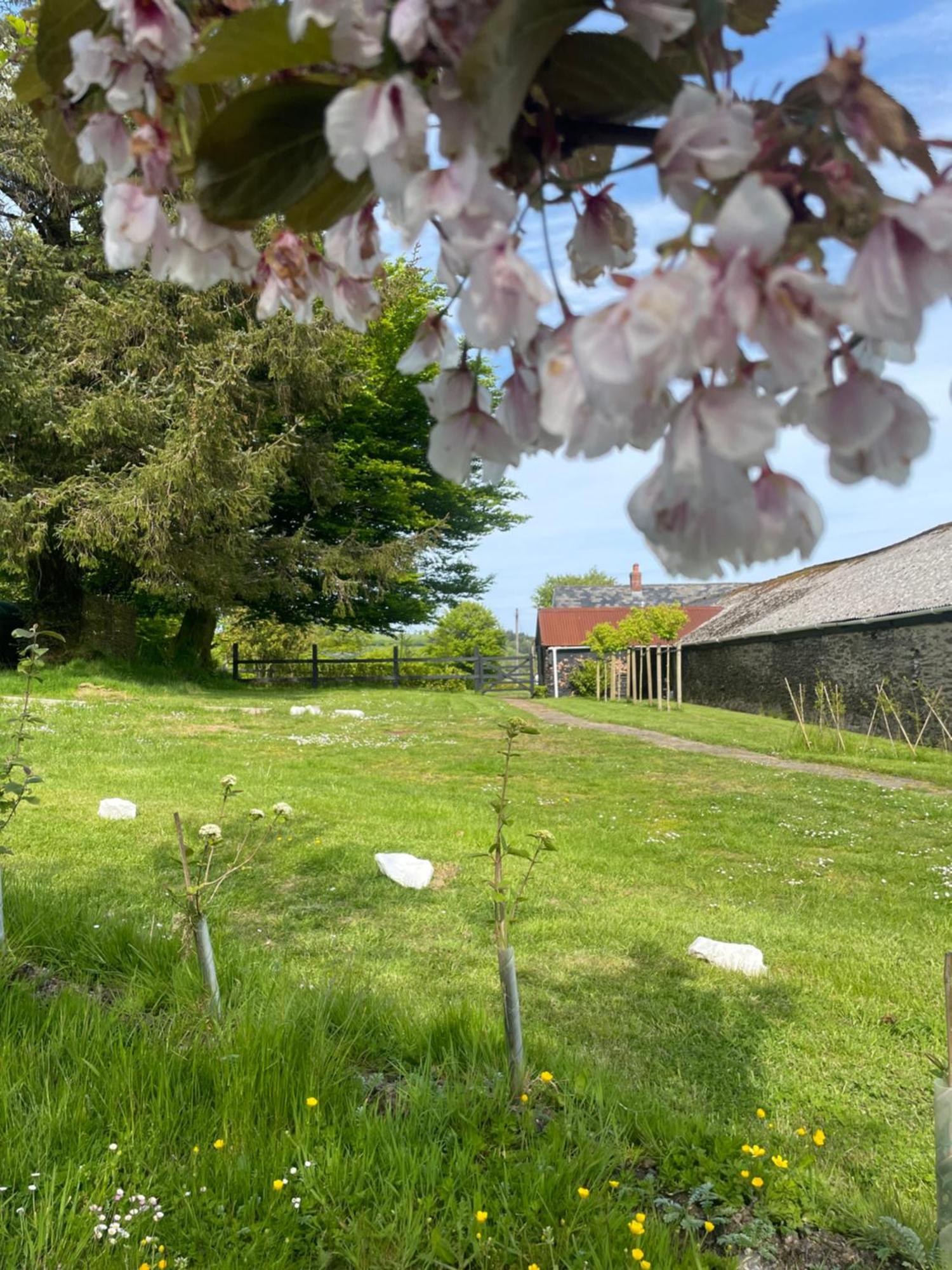 Winstitchen Cottage Situated Near The River Barle Simonsbath Exterior foto